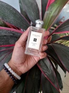Jo Malone London Blackberry &amp; Bay