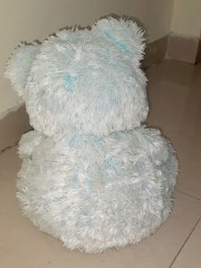 Taddy Bear