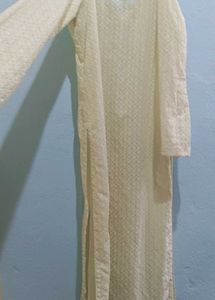 Elegant Chikankari Kurta
