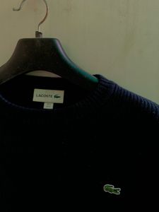 Lacoste Knit Sweater