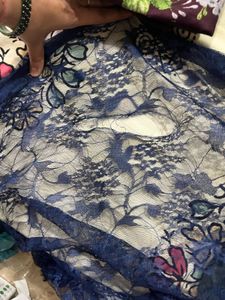Elegant Navy Lace saree