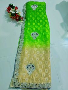 Stunning Embellished Saree
