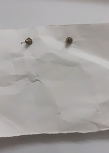 White New Earrings
