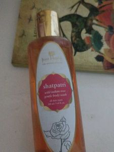 Shatpatri Wild Indian Rose Body Wash