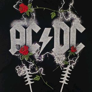 AC/DC Black Vintage Rose Embroidered Band Tee