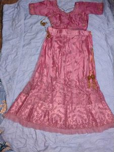 Pink Embroidered Lehenga Skirt