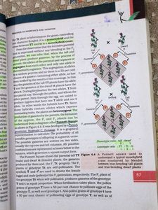 NCERT Biology Textbooks for Class XI &amp; XII