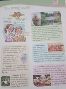 Brilliance Quest for Knowledge - Book 5