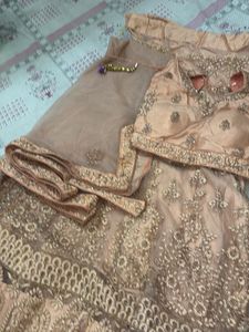 Elegant Embroidered Lehenga Choli Set