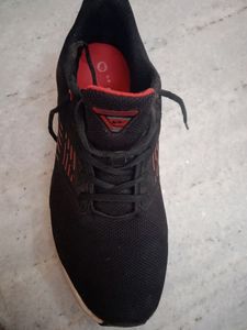Campus Sport Shoes In Good Condition