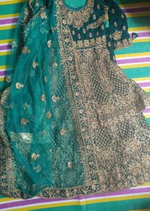 Emerald Green Velvet Lehenga Choli