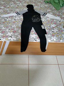 Lion Print Tracksuit for boys and girl unisex