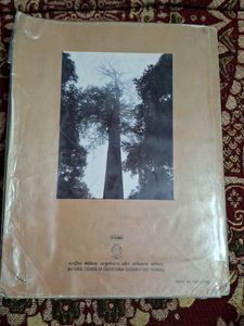 Biology Textbook for Class XI