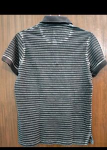 TURTLE T-shirt Chocolate Brown