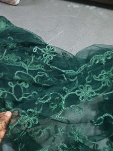 Beautiful Green Embroidered Dupatta
