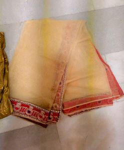 Elegant Net Saree embellished border with shi