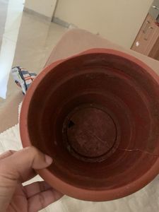 brown pots