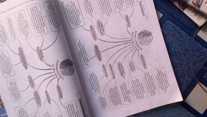Class 10 Oswaal Sample Paper