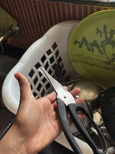 Fish Cutting Scissors ✂️