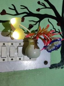 Chinese Night Bulb...