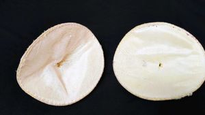 White Bra Inserts (Pair)