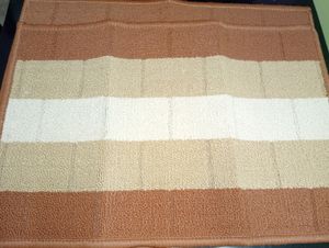 Anti Slip Front Door Mat Pack Of 2