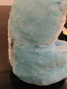 Cute Blue Teddy Bear