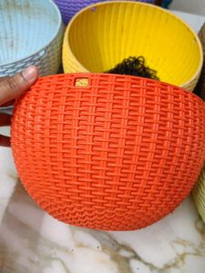 Colorful Plastic Plant Pots (Set of 5)