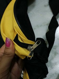 Asian Paints Travel Bag