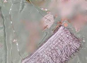 Stunning Beaded Silver Bag partywear
