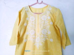 Very Beautiful Chicken Curry Kurta