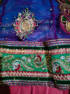 Elegant Embellished Lehenga Choli Set