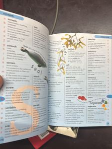 First Children's Dictionary( Only 1)