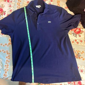 Lacoste Navy Blue Polo Shirt very low price