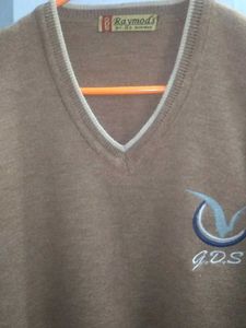 Classic Brown V-Neck Sweater