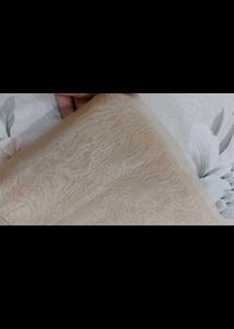 Elegant organza saree