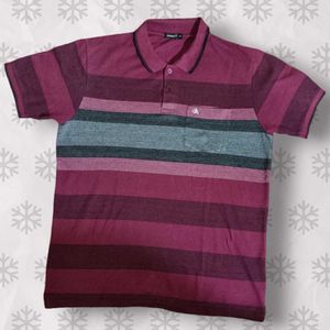 Striped Maroon Polo Shirt