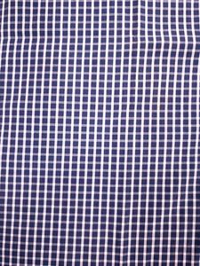 Men's Blue Checkered Button-Down Shirt
