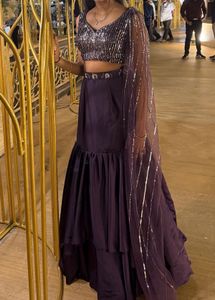 Elegant Sequined Lehenga Choli