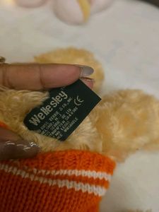Cute Teddy Bear with Sweater