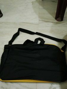 Asian Paints Travel Bag