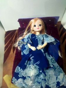 Collectible korean fashion doll.