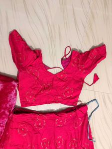 rani Pink Embroidered with sequins Lehenga Choli S