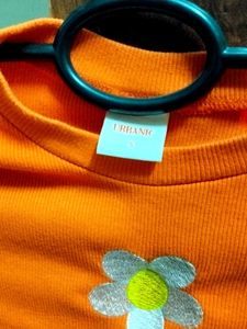 Ribbed Cropped Top