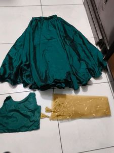 Beautiful Lehenga Choli Set 3 piece