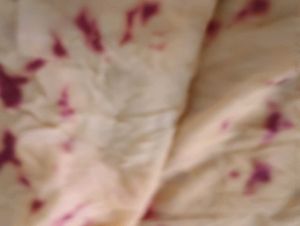 Elegant Ombre Dupatta