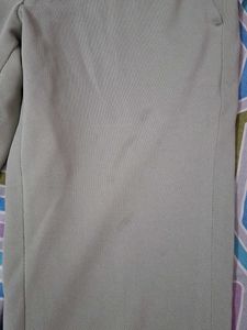 Formal pant