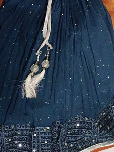 Embroidered Mirror Work top and lehanga skirt set