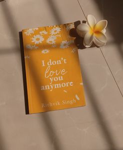I Don't Love You Anymore Book