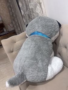 Giant Husky Plush Toy